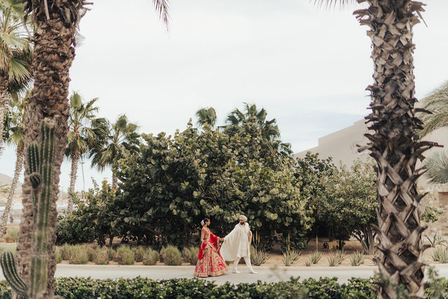 Paul and Gureet framed by tall palms and a garden