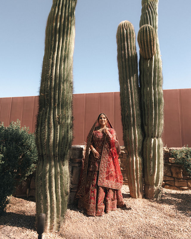 Shachi framed between tall desert cacti